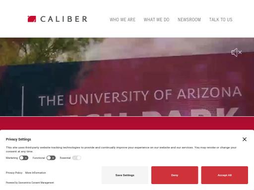 Screenshot of calibergroup.com – Swiss SEO check by SEO Switzerland, score 81/100