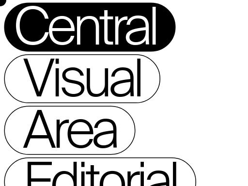 Swiss SEO check of centralstudio.ch – score 79/100 · SEO Switzerland free SEO analyzer