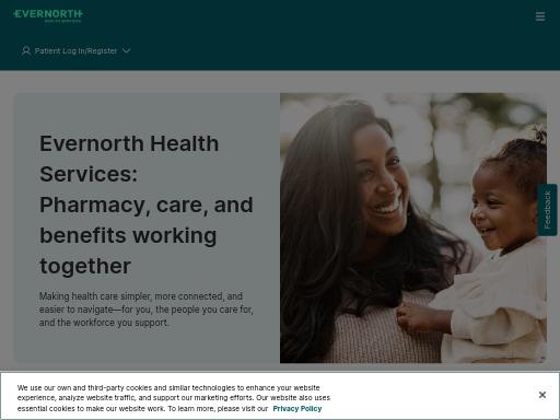 Screenshot of evernorth.com – Swiss SEO check by SEO Switzerland, score 87/100