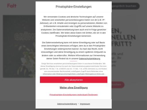 Swiss SEO check of falt.ch – score 91/100 · SEO Switzerland free SEO analyzer