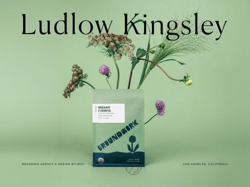 Swiss SEO check of ludlowkingsley.com – score 84/100 · SEO Switzerland free SEO analyzer