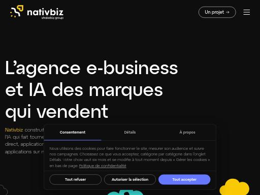 Swiss SEO check of nativbiz.com – score 96/100 · SEO Switzerland free SEO analyzer