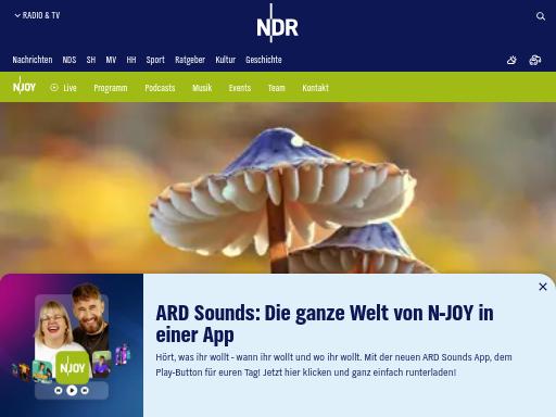 Swiss SEO check of ndr.de – score 89/100 · SEO Switzerland free SEO analyzer