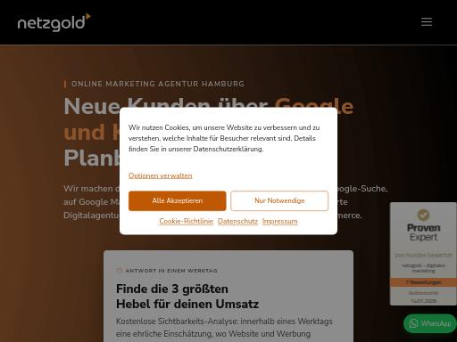 Swiss SEO check of netzgold.net – score 95/100 · SEO Switzerland free SEO analyzer