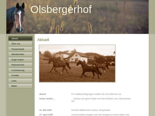 SEO check of olsbergerhof.ch – score 82/100 · SEO Switzerland free SEO analyzer