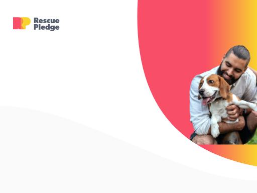 Swiss SEO check of rescuepledge.org – score 84/100 · SEO Switzerland free SEO analyzer
