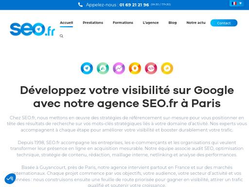 Screenshot of seo.fr – SEO check by SEO Switzerland