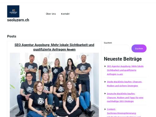 SEO check of seoluzern.ch – score 93/100 · SEO Switzerland free SEO analyzer