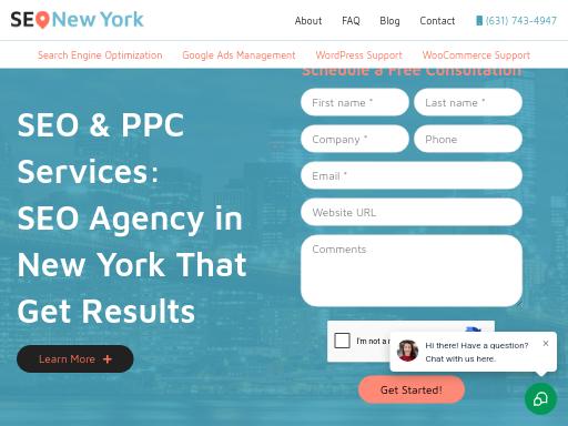 Screenshot of seonewyork.com – SEO check by SEO Switzerland