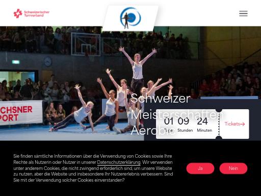 Swiss SEO check of sm-aerobic.ch – score 81/100 · SEO Switzerland free SEO analyzer