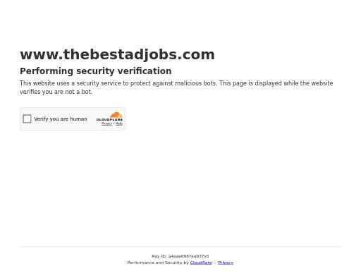 Screenshot of thebestadjobs.com – Swiss SEO check by SEO Switzerland, score 80/100