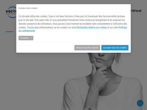 Swiss SEO check of vector.ch – score 85/100 · SEO Switzerland free SEO analyzer
